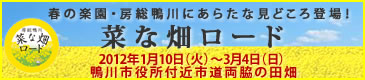 春の楽園・房総鴨川にあらたな見どころ登場！菜な畑ロード　2012年1月10日(火)～3月4日(日)鴨川市役所付近市道両脇の田畑