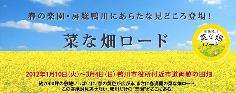 春の楽園・房総鴨川にあらたな見どころ登場！2012年1月10日(火)～3月4日(日)鴨川市役所付近市道両脇の田畑　約7000坪の敷地いっぱいに、春の黄色が広がる、まさに春満開の菜な畑ロード。この春絶対見逃せない、鴨川だけの“楽園”がここにある！