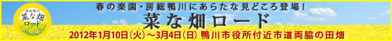 春の楽園・房総鴨川にあらたな見どころ登場！菜な畑ロード