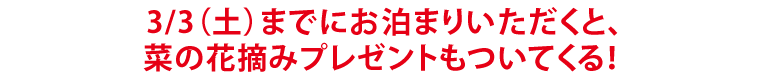3/3（土）までにお泊まりいただくと、菜の花摘みプレゼントもついてくる！