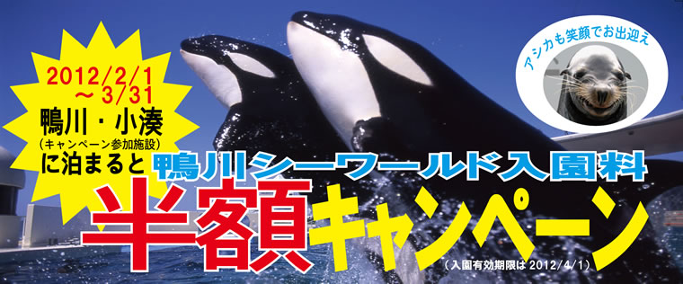 鴨川シーワールド入園料半額キャンペーン