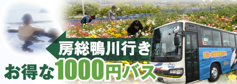 房総鴨川行き お得な1000円バス。南房総・鴨川を便利に楽しんでいただく為の企画です。