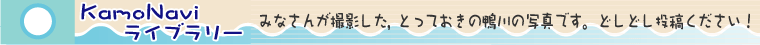 KamoNaviライブラリー