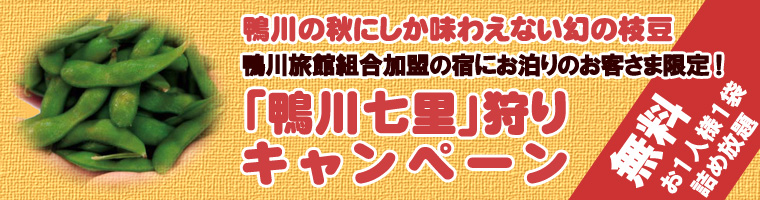「鴨川七里」狩りキャンペーン