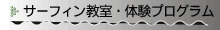 サーフィン教室・体験プログラム