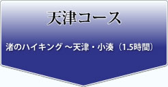 天津コース