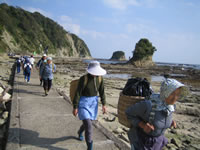 鯛の浦海岸遊歩道