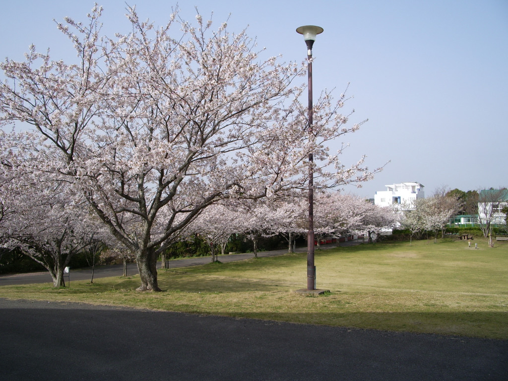 タイトル画像