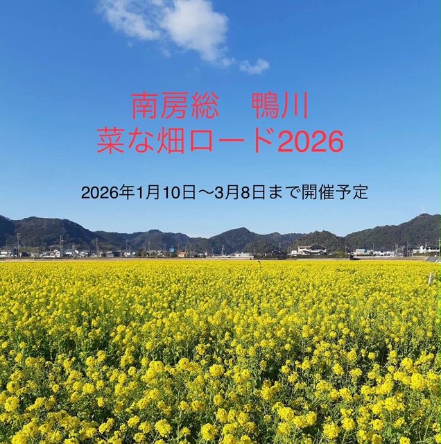 スライダーロゴ画像